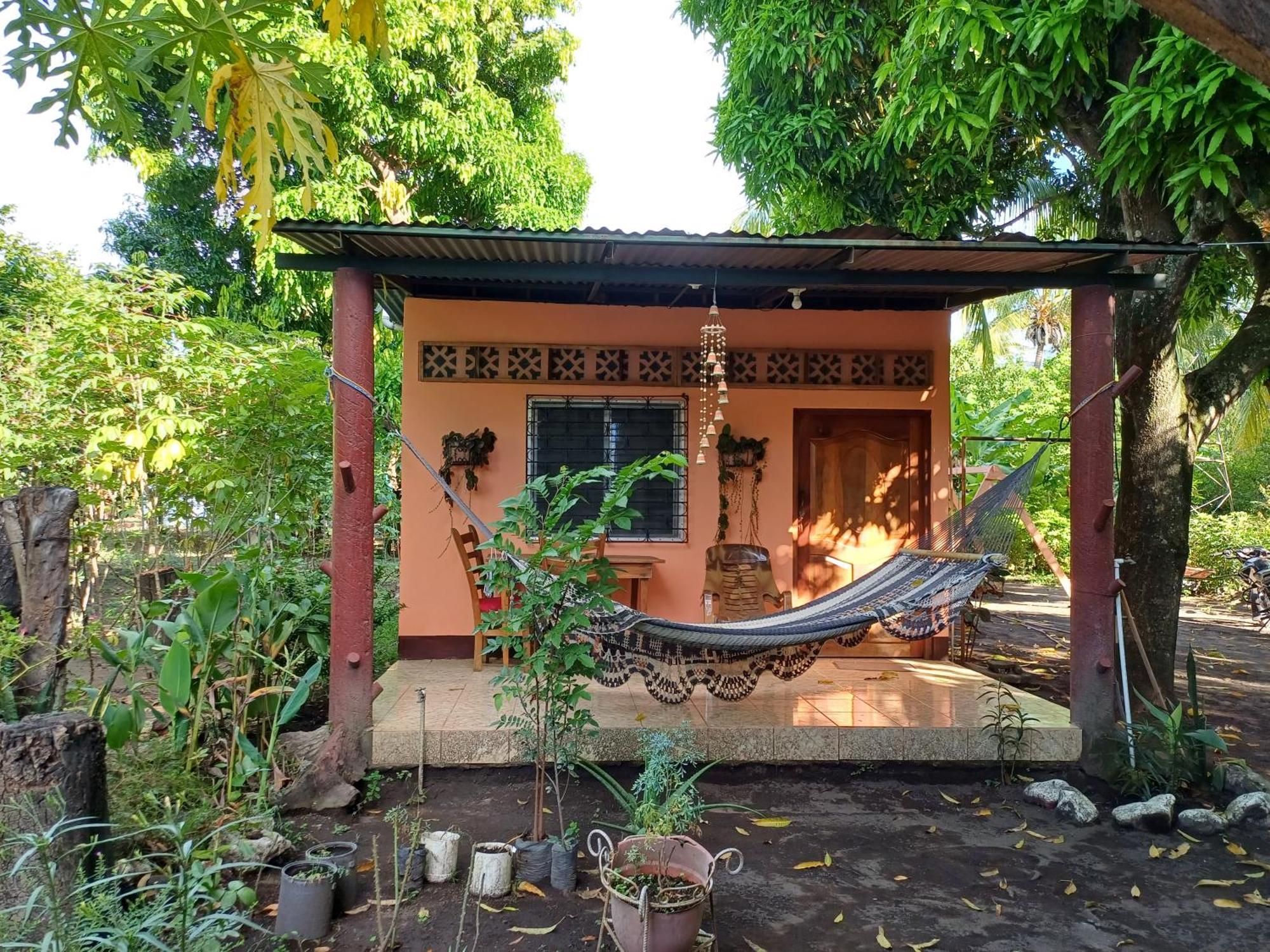 Cabanas Privadas Dilany モヨガルパ エクステリア 写真